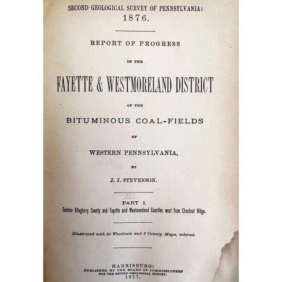 Geology Of Southwestern Pennsylvania Lot Of 2 1877-78 Victorian Coal WHBS - Picture 5 of 10